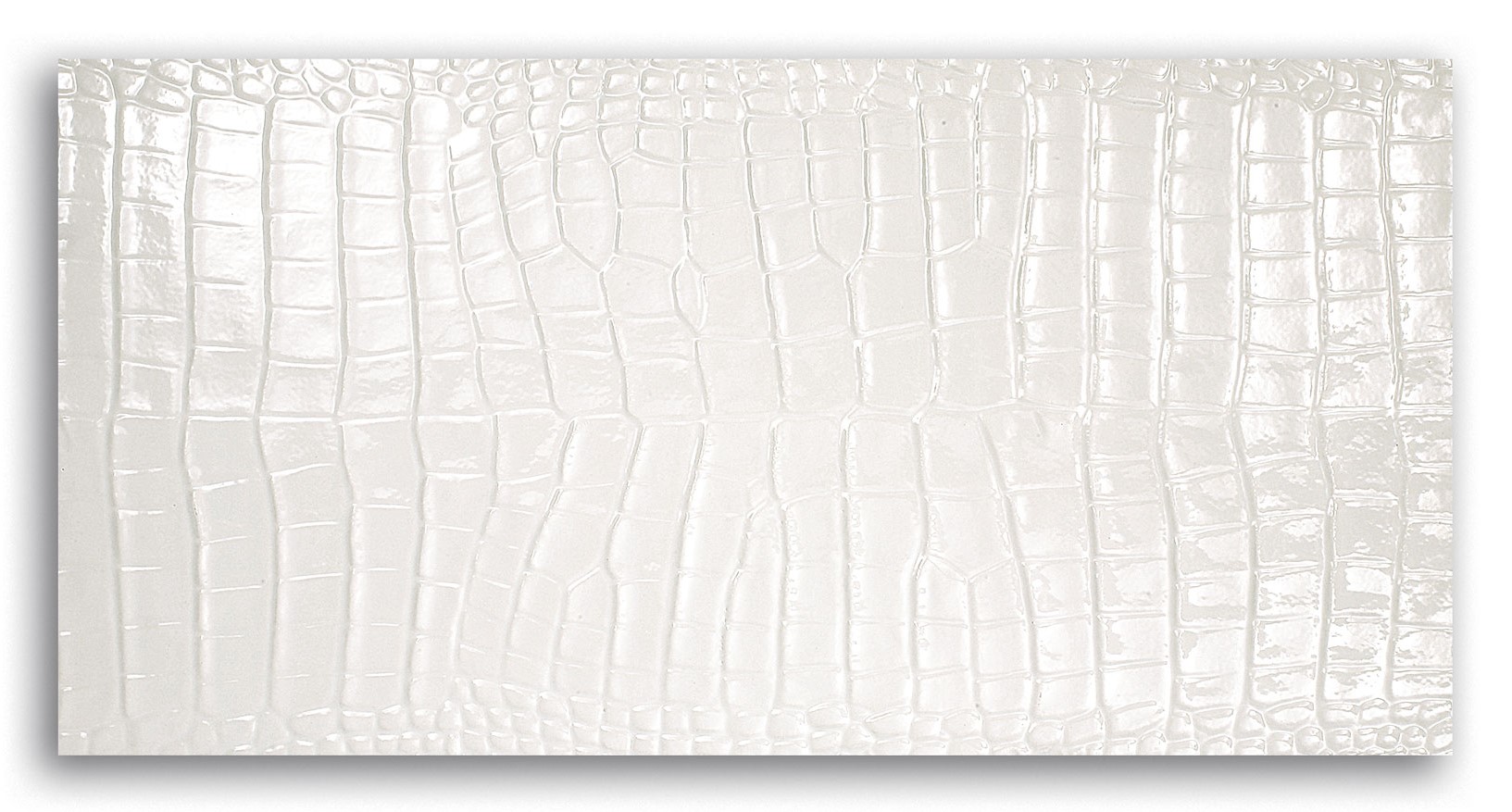 Queensway White 12×24 – Majestic Tiles – European Tiles Chicago